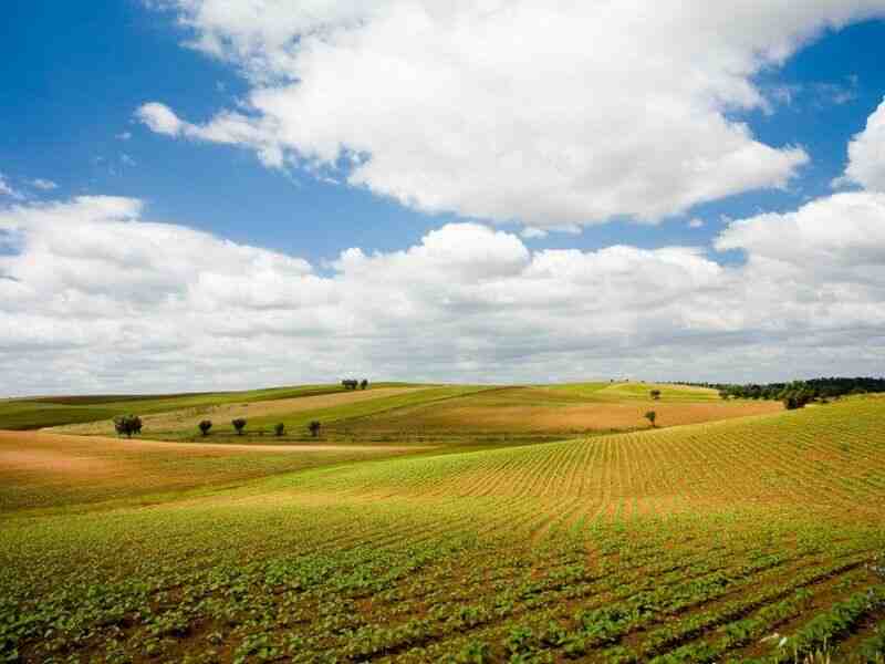 Region Alentejo